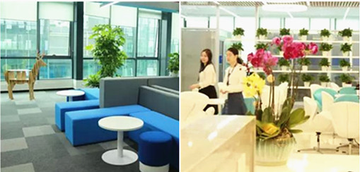 高潔雅為軟通動力空氣治理，健康清新潔凈空氣，高潔雅除甲醛做的到。