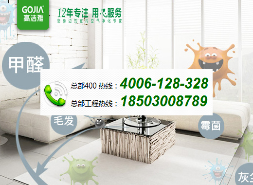 這個是去甲醛的最好辦法？.jpg